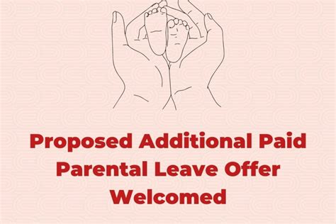 paid parental leave nz 2024